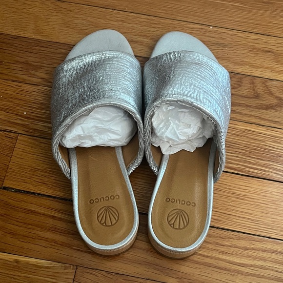 COCLICO Clidro Slide - Old Lam Silver - Picture 3 of 4